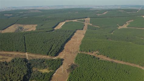 Image result for Spring Break Fire