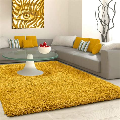 shaggy rug for living room
