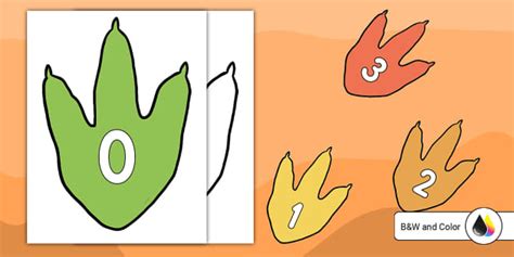 Dinosaur Footprint Numbers | PreK Resource | Twinkl USA