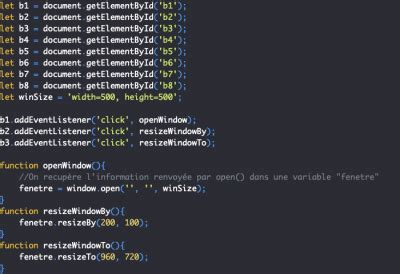 Pierre Giraud JavaScript 的图像结果
