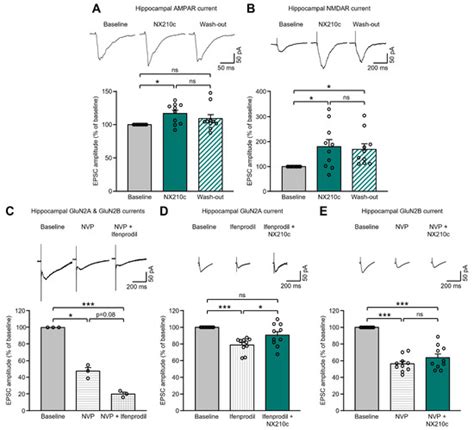 NX210c Peptide Promotes Glutamatergic Receptor-Mediated Synaptic ...