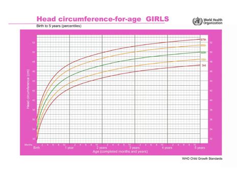 Normal Growth Patterns 的图像结果