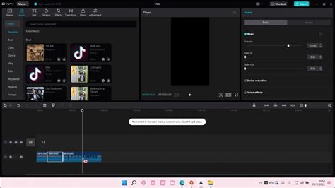 Image result for Cap Cut Tutorial How to Edit Audios
