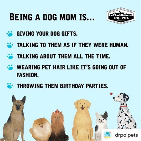 Do Dogs Like Humans Talking To Them