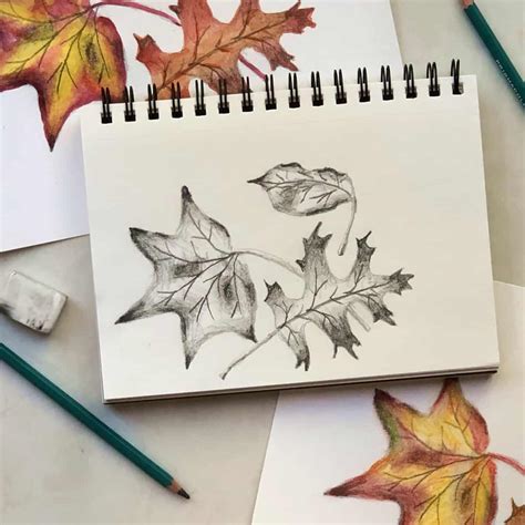 Autumn Leaves Sketches