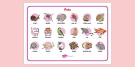 Hamster Hibernation Word Mat - Hamster Vocabulary - Pets
