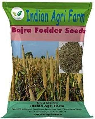 IAgriFarm Bajra Fodder Seeds - 500 g - Multi Cut for Fodder Cultivation ...