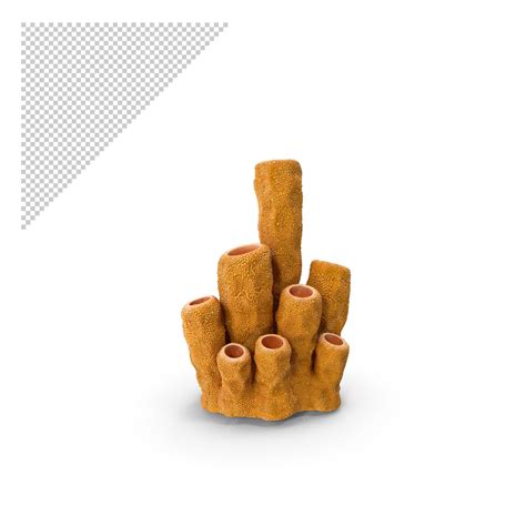 Premium PSD | Coral tubes png