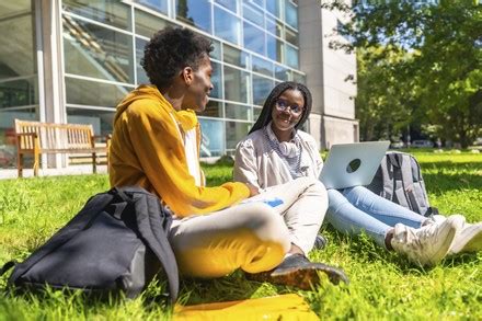 Using Laptop 的图像结果