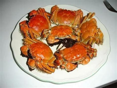 吃螃蟹 - 知乎