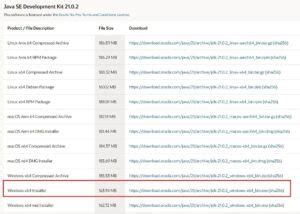 Image result for Java JDK 11 Free Download