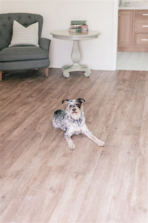 Are Luxury Vinyl Floors Toxic To Dogs | Viewfloor.co