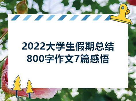 2022大学生假期总结800字作文7篇感悟_综合文档_零二七艺考