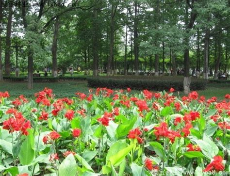 【新书上架】凝聚巴菲特70年投资智慧，适合7-12岁孩子读的《巴菲特给孩子的财商课》来了！_考网_动画_思考