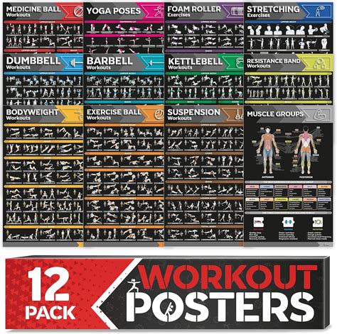 Buy 12-PACK] Laminated Large Workout Poster Set - Perfect Workout ...