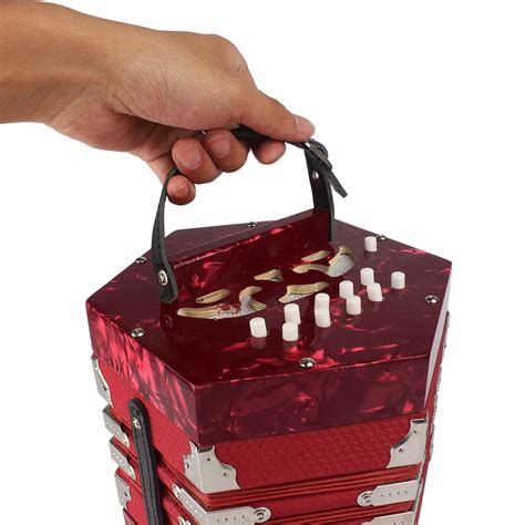 Buy Concertina Accordion 20-Button 40-Reed Anglo Style with Carrying ...