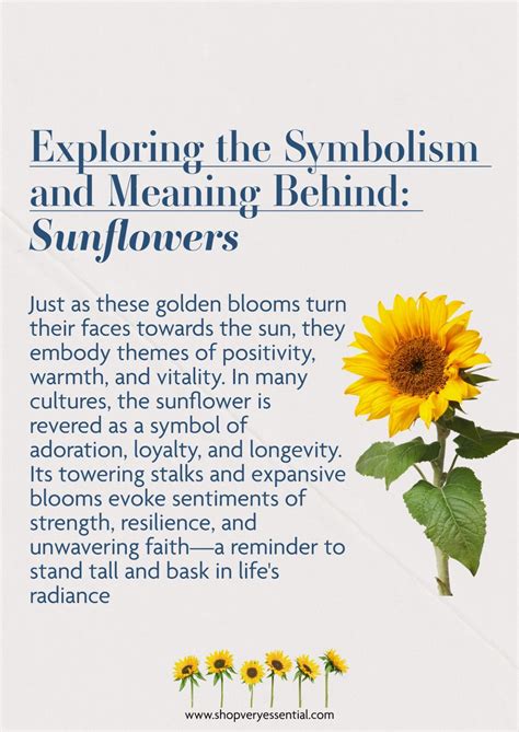 Exploring the symbolism and meaning behind sunflowers – Artofit