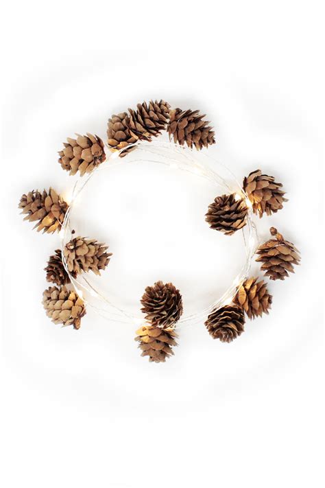 Image result for Pine Cone LED String Lights