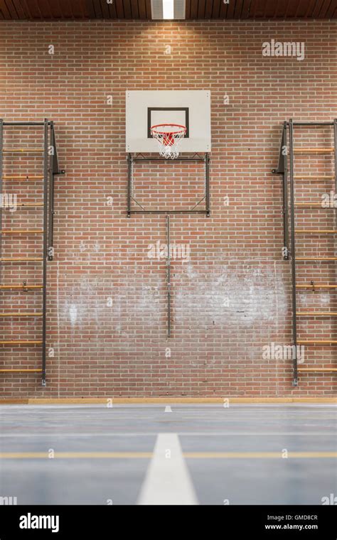 School Gym 的图像结果