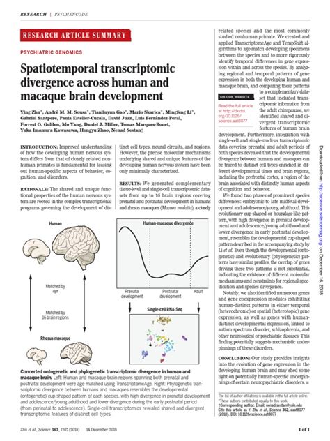 Spatial Transcriptome Mouse Brain Development 的图像结果