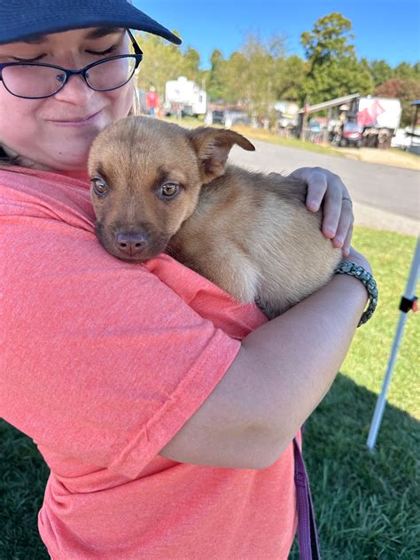 Lake Lowell Animal Rescue | Best Friends Animal Society