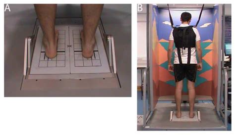 Computerized Dynamic Posturography for Postural Control Assessment in ...