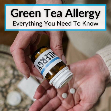 Green Tea Allergy (Everything You Need To Know)