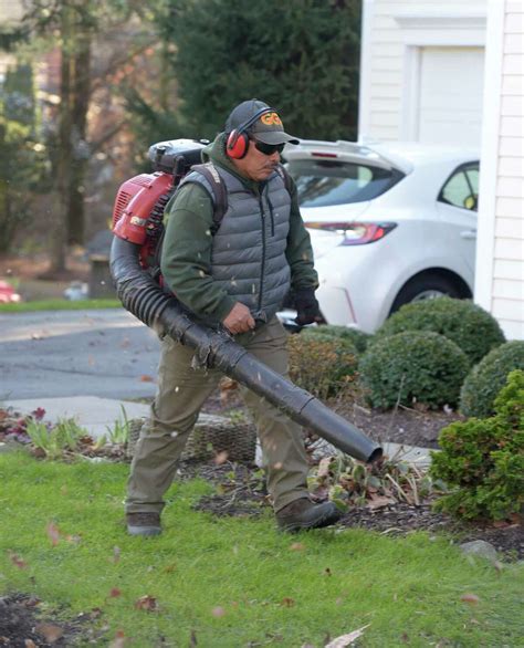 Leaf Blower Santa 的图像结果