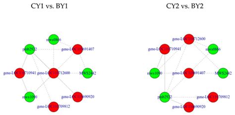 Transcriptomic and Metabolomic Analysis of the Response of Quinoa ...