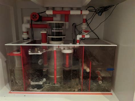 Image result for Reef Overflow Box