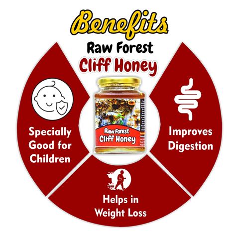 Raw Forest Cliff Honey - South Indian Origin – Nature's Shadow