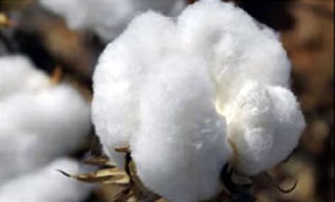 SMART SOURCING INC.— COMPLETE TEXTILE SOLUTIONS