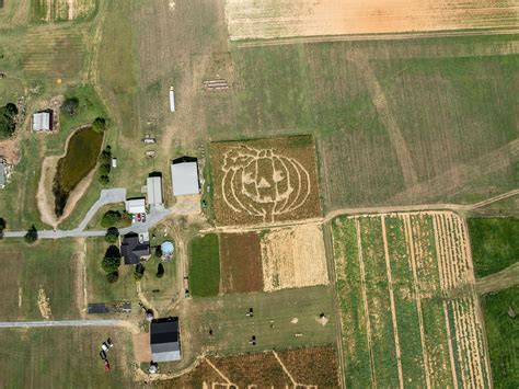 Gallery | White House Pumpkin Patch