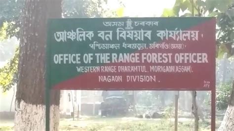 Assam: Lack of proper firearms training results in forester's death in ...
