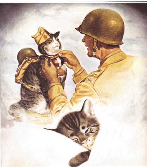 Cats In Wartime