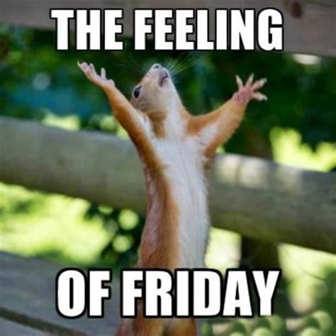 [100+] Funny Friday Pictures | Wallpapers.com