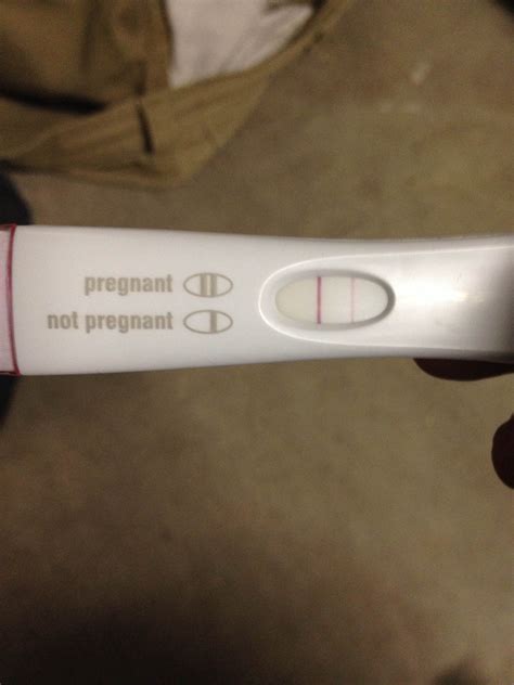 Negative Pregnancy Test First Response