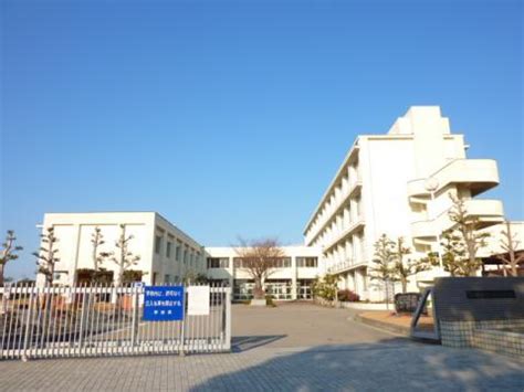 打造家门口好学校，这3所学校在闵行浦江揭牌9月开学_市政厅_新民网