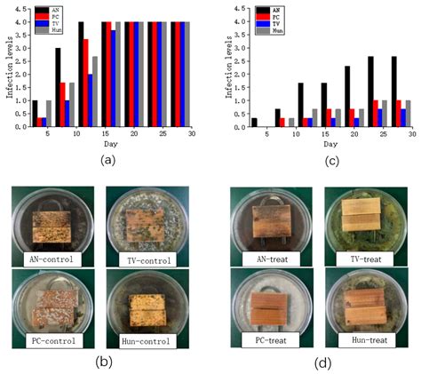 Preparation and Anti-Mold Properties of Nano-ZnO/Poly(N ...