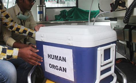 Explained: New Organ Transplantation Guidelines In India