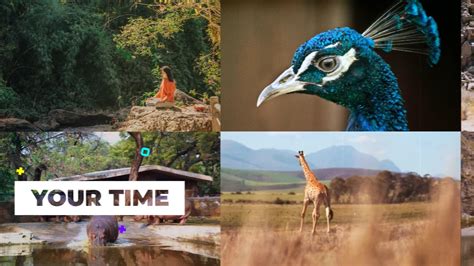 [ID 46623505] Проекты - VideoHive - Multiscreen Slideshow for After ...