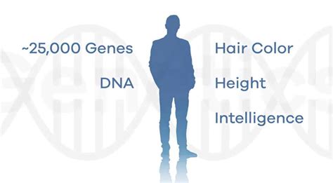 Decipher Test 的图像结果