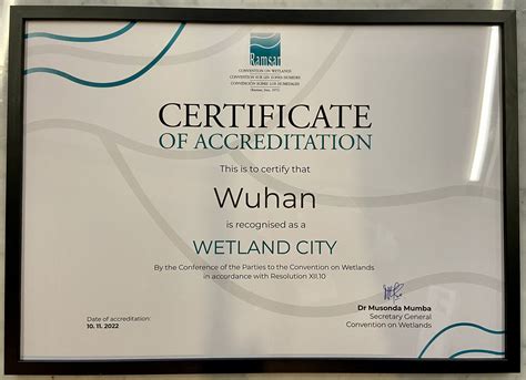 城市湿地生态保护的全球最高成就！武汉获颁“国际湿地城市”证书凤凰网湖北_凤凰网