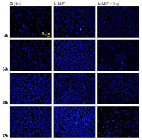 Cell Theranostics on Mesoporous Silicon Substrates