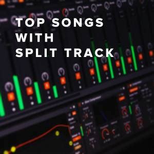Image result for Split-Track