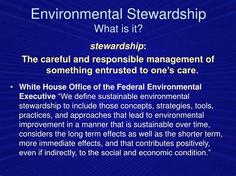 Stewardship 的图像结果