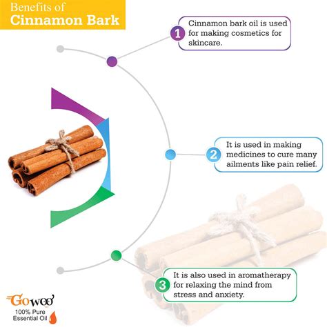 Buy GO WOO 100% PURE CINNAMON BARK OIL VIRGIN & UNDILUTED 10 ML Online ...