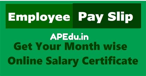 AP Employee Pay Details / salary Details with Treasury ID - Easy way ...