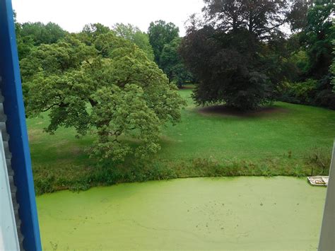 KASTEEL OPHEMERT - Castle Reviews, Photos, Rate Comparison - Tripadvisor