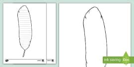 Matariki Feather Outline Mindfulness Colouring - Twinkl